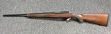NIB Ruger 77/22 Hornet 20" Threaded barrel - 1 of 8