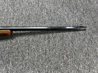 Winchester 1885 Case Colored .17 HMR 28