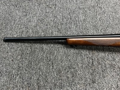 Ruger 77/22 Hornet 20