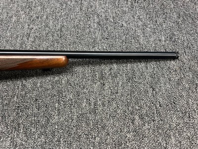 Ruger 77/22 Hornet 20