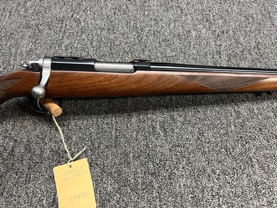 Ruger 77/22 Hornet 20