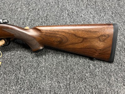 Ruger 77/22 Hornet 20
