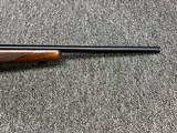 Ruger 77/22 Hornet 20