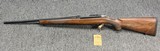 Ruger 77/22 Hornet 20