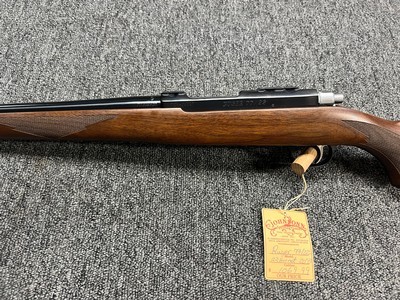 Ruger 77/22 Hornet 20