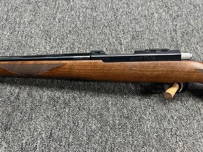 Ruger 77/17 .17 WSM 20