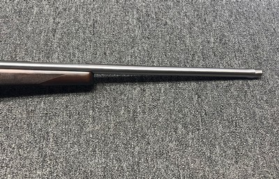 NIB Ruger M77 Stainless Hawkeye .204 Ruger 24