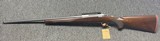 NIB Ruger M77 Stainless Hawkeye .204 Ruger 24