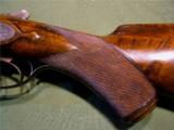 Superb W.W. Greener Engraved Hammer Double 10 Bore 1878 XXX Wood - 11 of 15