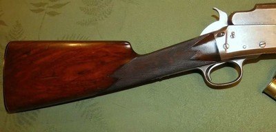 Scarce Marlin 
