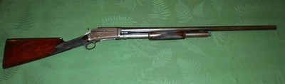 Scarce Marlin 