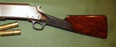 Scarce Marlin 