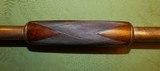 Scarce Marlin 