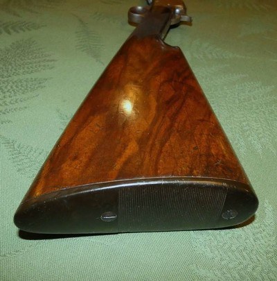 Scarce Marlin 