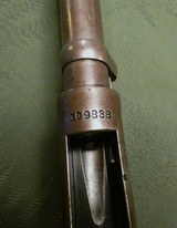 Scarce Marlin 