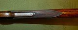 Scarce Marlin 