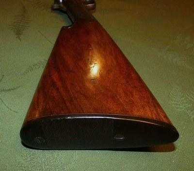 Scarce Marlin 