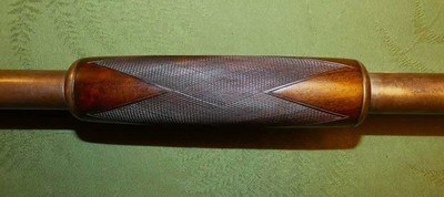 Scarce Marlin 