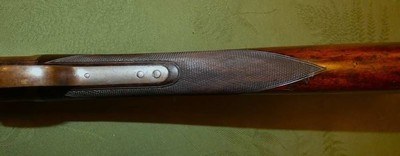 Scarce Marlin 