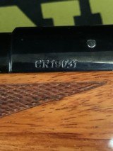 Colt Sauer ~ Grand African .458 Win Mag - 14 of 15