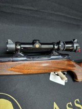 Colt Sauer ~ .375 h&h - 10 of 15