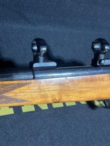 Weatherby Mark V ~ .300 wby mag - 12 of 13