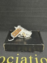 Kimber Micro Raptor ~ .380acp - 2 of 5