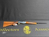 Remington 742 Woodsmaster ~ 243 Winchester