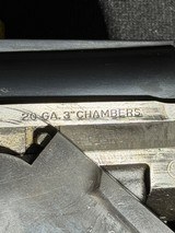 Ruger Red Label ~ 20 gauge - 13 of 13
