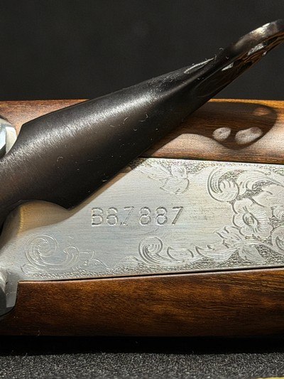 Fausti Calendon ~ 20 gauge (NIB) - Image 13 of 14