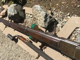 Winchester, 1873 Musket , 44/40 - 15 of 15