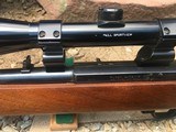 Ruger, semi auto carbine , 44 mag - 5 of 14