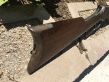 Winchester, model 1876, caliber 45/75 - 12 of 14