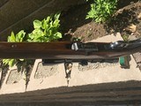 Winchester model 88 , 243 caliber - 3 of 15