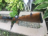 Winchester model 100 rifle , 243 caliber - 9 of 11