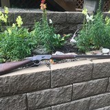Winchester 1873 rifle 44/40 - 15 of 15