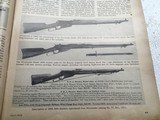 Winchester 1895 NRA Musket, 30/03 - 5 of 15