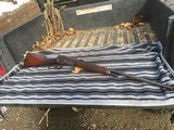 Winchester 1886 rifle, .33 Win - 14 of 15