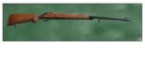 Winchester Model 70, 458 African - 6 of 6