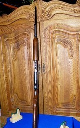 Remington Model 141 "Gamemaster" - 12 of 15