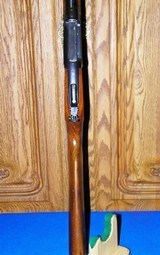 Savage Model 99EG, .250-3000 Savage - 11 of 22