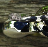 Colt SAA 2nd Generation .45 Caliber 7 1/2