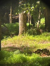 Weaver K4 Rifle Scope "LEE DOT" - 12 of 12