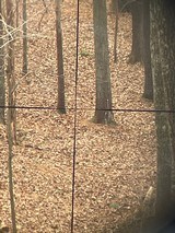 Vintage Leupold Scope M8-4X,CPC - 12 of 12