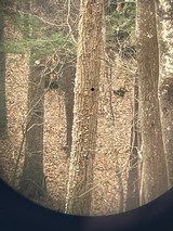 Leupold M8-4 Compact Scope Gloss W/Dot - 10 of 10