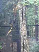 Redfield 6x Rifle Scope Duplex - 14 of 14