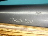 Ruger M77 VT MkII .22-250 Rem 26"Hvy Bbl Nikon Monarch UCC 6.5-20x44 Laminate Stk Bipod - 14 of 24