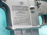 Bushmaster XM-15-E2S 5.56/.223 24"Stag Arms SS Hvy Bbl 1:8 Hogue Free Float Tube - Bushnell Trophy-XLT 6-18x50 - 11 of 24