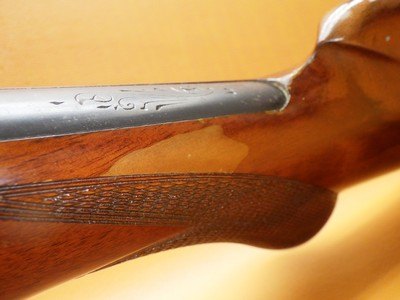 Belgian Browning A5 Light Twelve 12Ga- 2-3/4" 27"Bbl MOD Mfg 1960 Looks Young for Its Age - Image 18 of 25