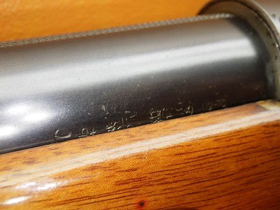 Belgian Browning A5 Light Twelve 12Ga- 2-3/4" 27"Bbl MOD Mfg 1960 Looks Young for Its Age - Image 14 of 25